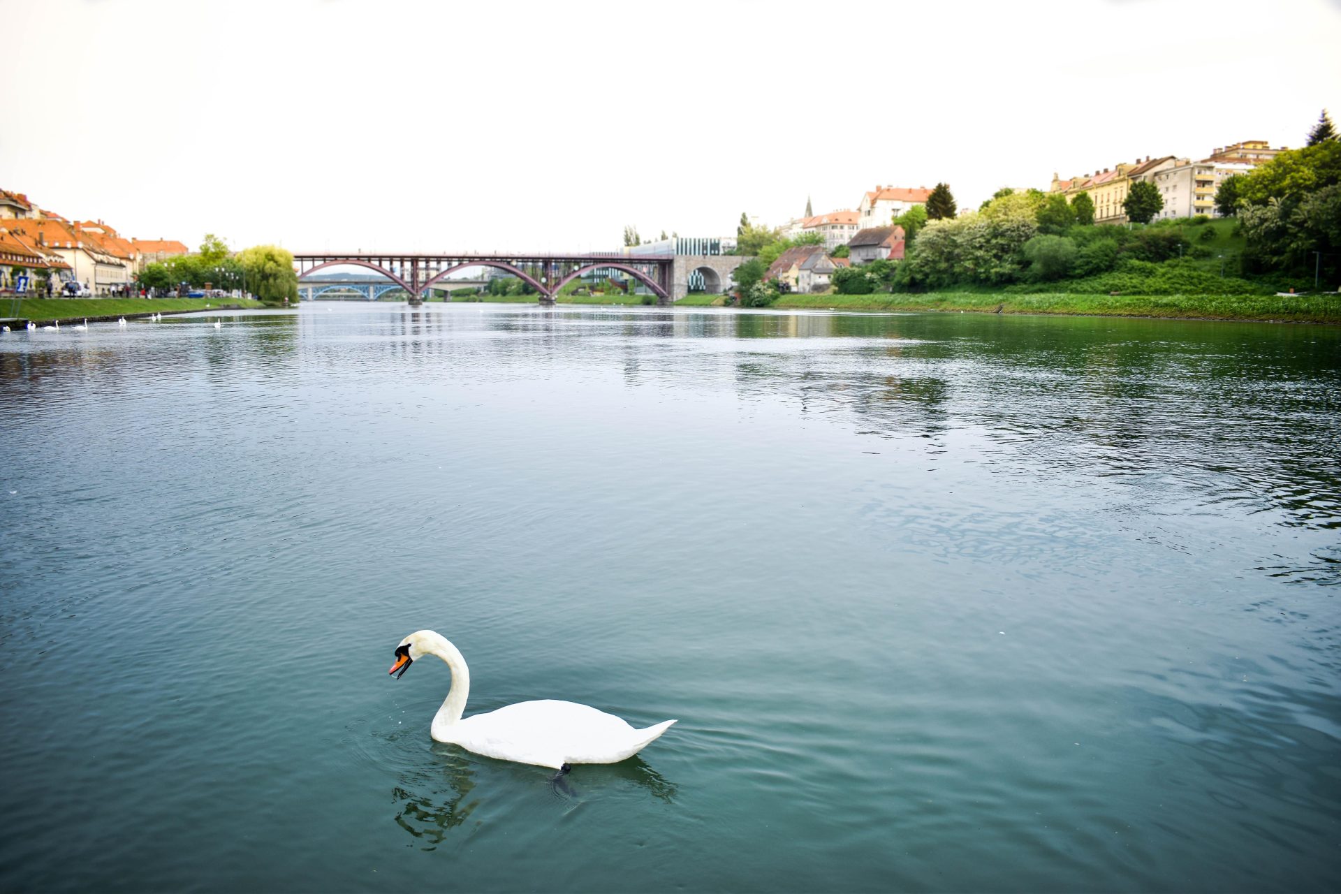 RAZNOVRSTNI MARIBOR (IN NJEGOVI NAZIVI)