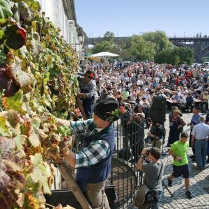 Vinski festival v Mariboru