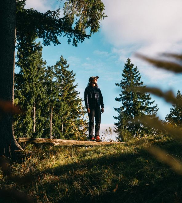 Pohorje – Kozjak Trail